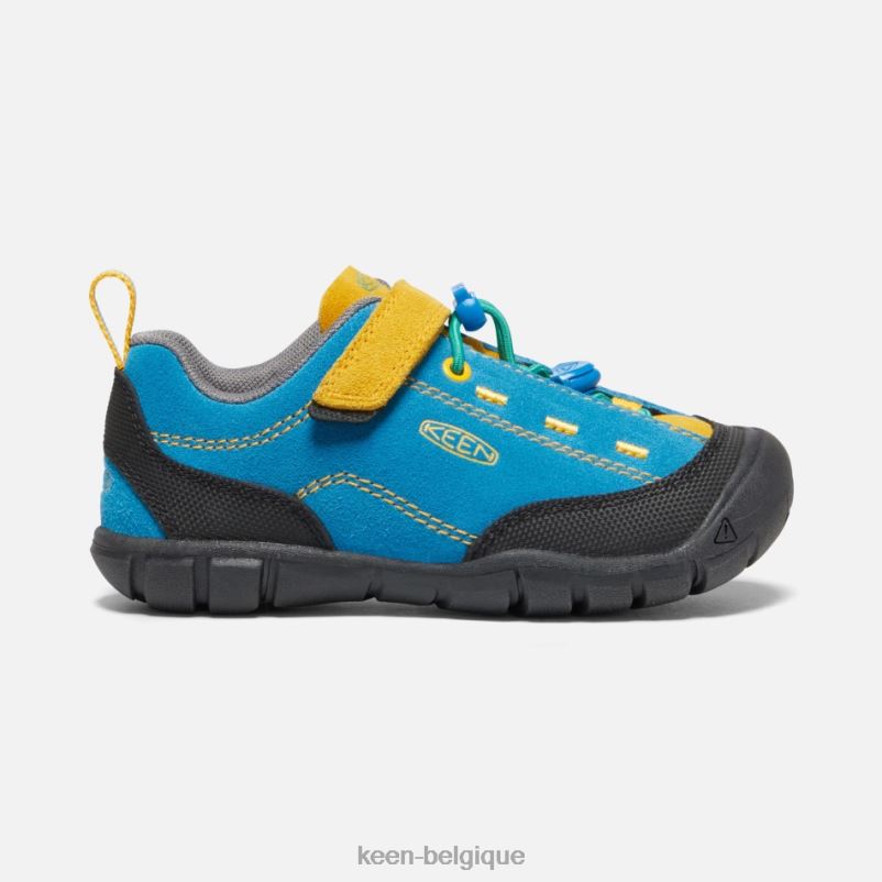 DLLD619 Keen plus jeune 'jasper ii tige bleue-dorée brillante en vedette