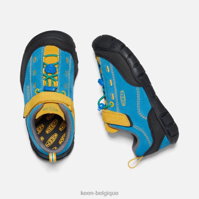 DLLD619 Keen plus jeune \'jasper ii tige bleue-dorée brillante en vedette