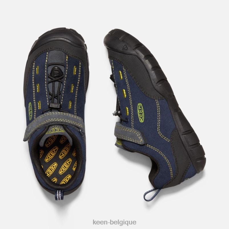 DLLD623 Keen plus âgé \'jasper ii aimant iris noir en vedette