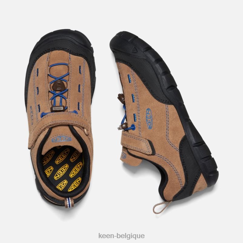 DLLD625 Keen plus âgé \'jasper ii cobalt brillant à la noix de coco grillée en vedette