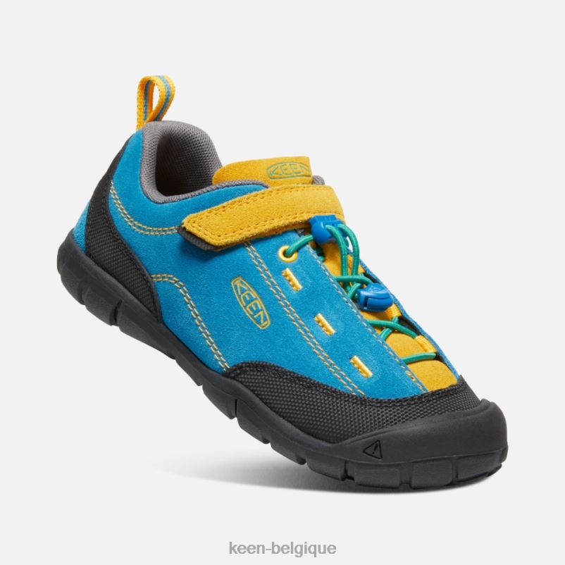 DLLD627 Keen plus âgé \'jasper ii tige bleue-dorée brillante en vedette