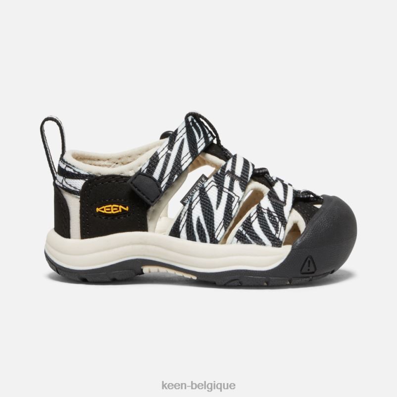 DLLD6563 Keen newport h2 pour tout-petits distributeur automatique d'étoiles zébrées enfants
