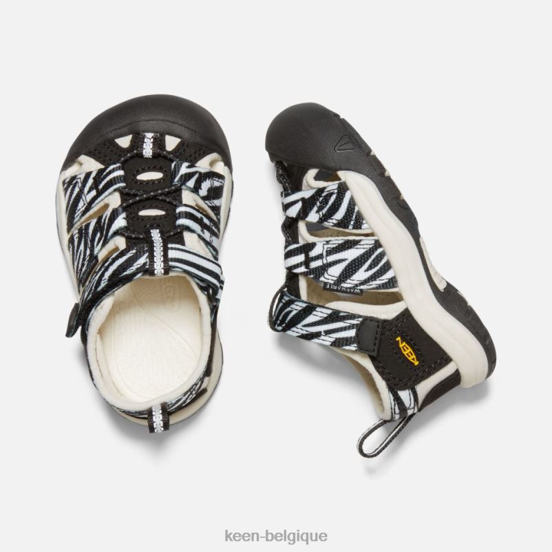 DLLD6563 Keen newport h2 pour tout-petits distributeur automatique d\'étoiles zébrées enfants