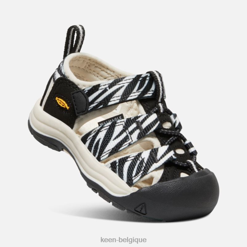 DLLD6563 Keen newport h2 pour tout-petits distributeur automatique d\'étoiles zébrées enfants