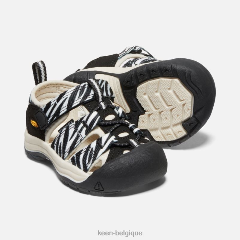 DLLD6563 Keen newport h2 pour tout-petits distributeur automatique d\'étoiles zébrées enfants