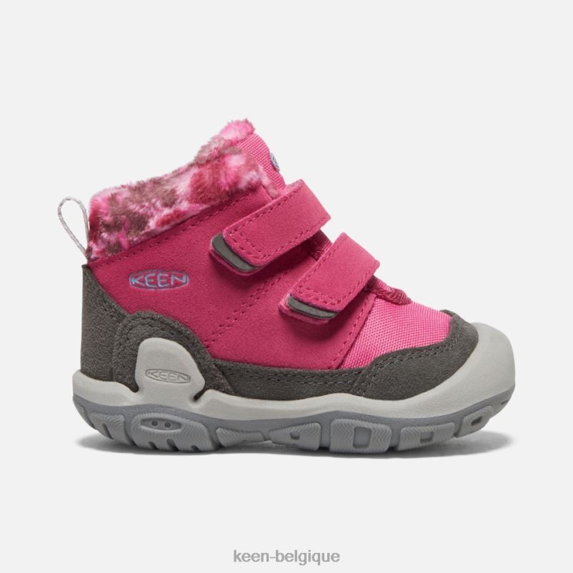 DLLD6564 Keen chukka à double bride nouée pour tout-petits fruit colombe-noir enfants