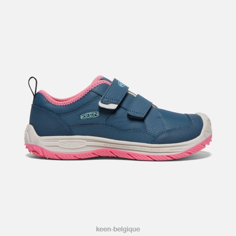 DLLD6542 Keen grand chien de vitesse colombe aux ailes bleues et aux fruits sarcelle enfants
