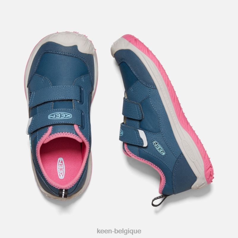 DLLD6542 Keen grand chien de vitesse colombe aux ailes bleues et aux fruits sarcelle enfants