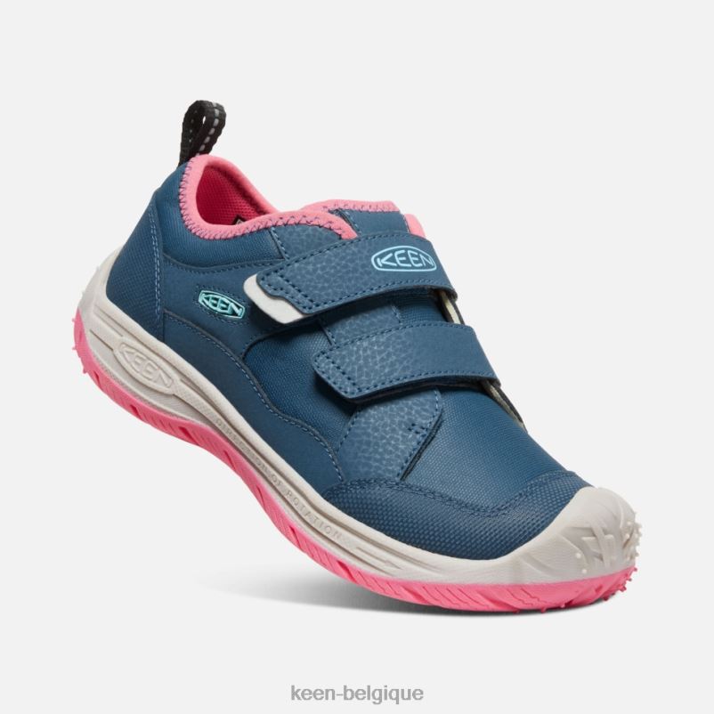 DLLD6542 Keen grand chien de vitesse colombe aux ailes bleues et aux fruits sarcelle enfants