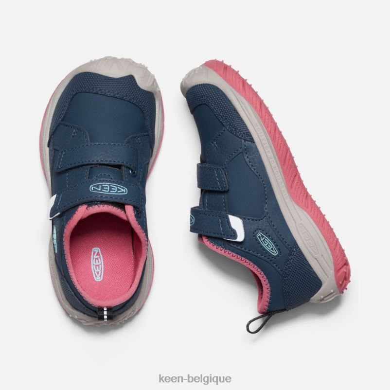 DLLD6544 Keen petit chien de vitesse colombe aux ailes bleues et aux fruits sarcelle enfants