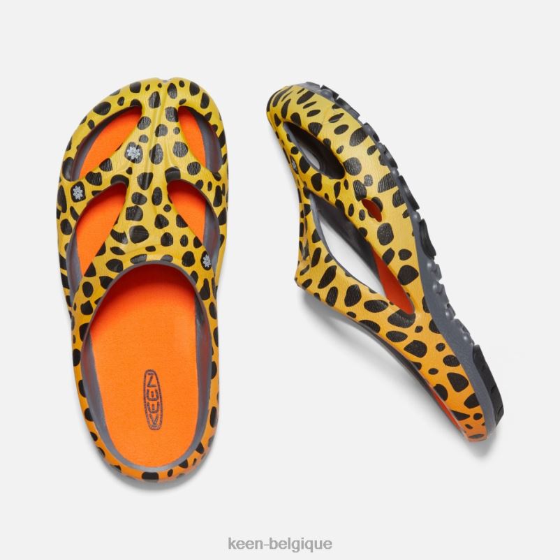 DLLD6340 Keen arts shanti le guépard arc-en-ciel femmes
