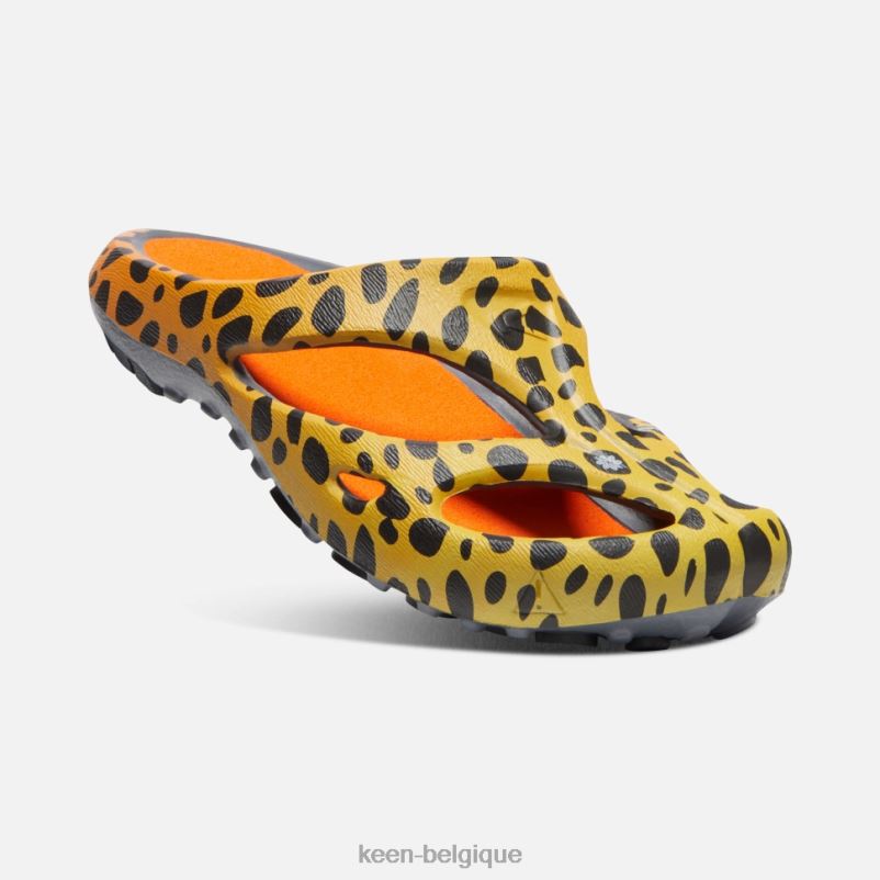 DLLD6340 Keen arts shanti le guépard arc-en-ciel femmes