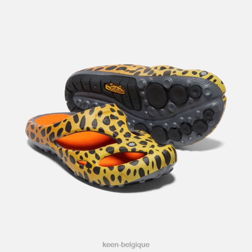 DLLD6340 Keen arts shanti le guépard arc-en-ciel femmes