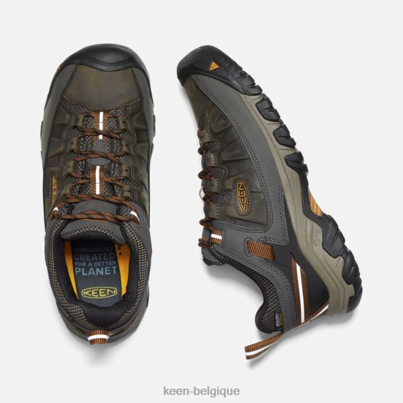DLLD6258 Keen chaussures de randonnée imperméables targhee iii noir olive-marron doré Hommes