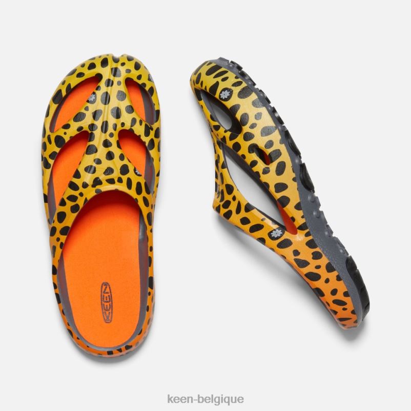 DLLD6490 Keen arts shanti le guépard arc-en-ciel Hommes