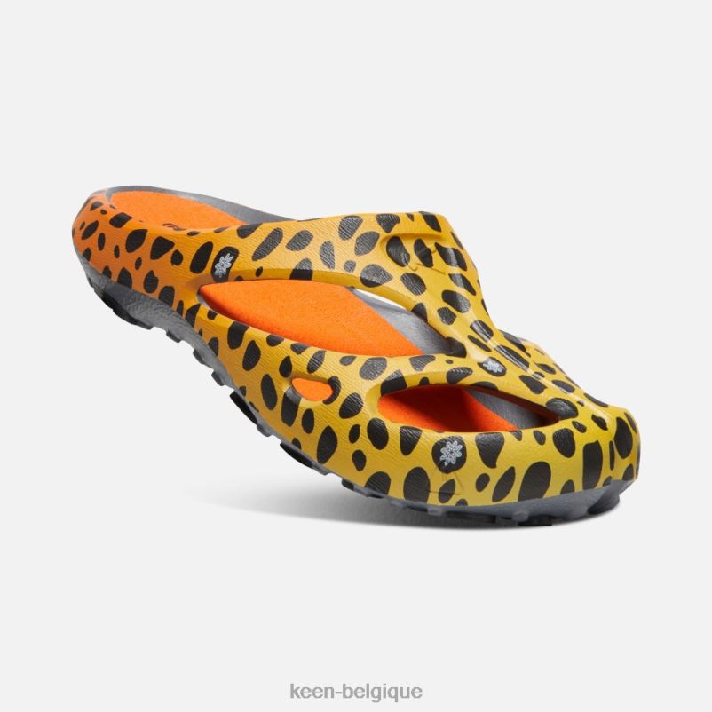 DLLD6490 Keen arts shanti le guépard arc-en-ciel Hommes