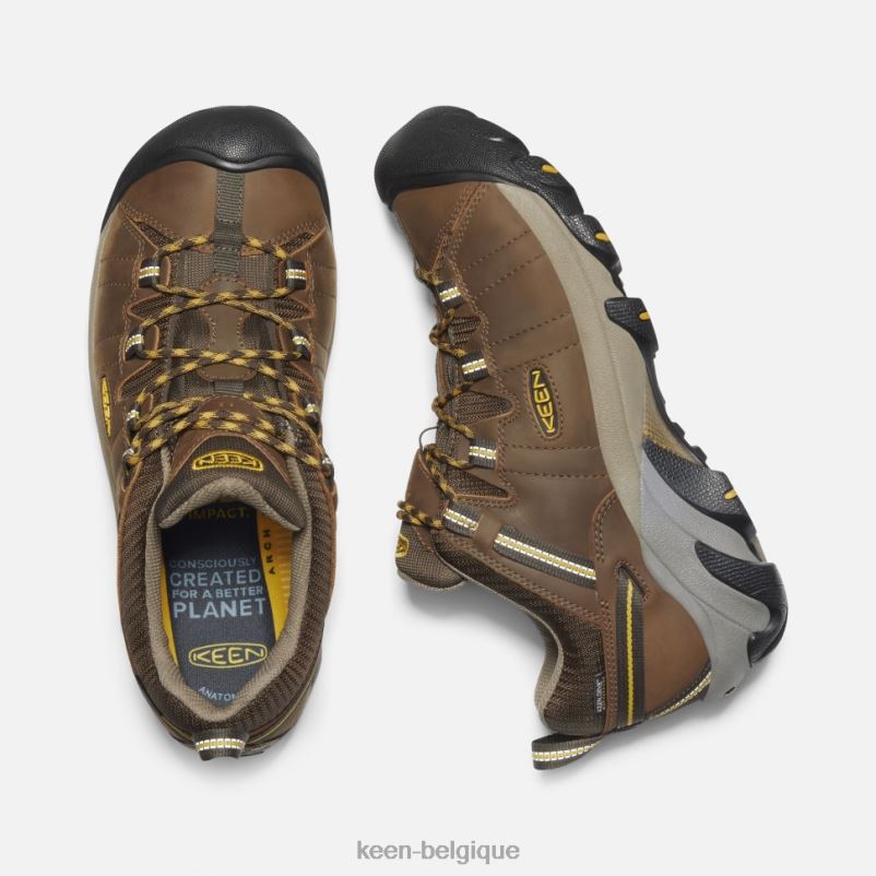 DLLD6497 Keen Targhee II étanche cascade brun-jaune doré Hommes