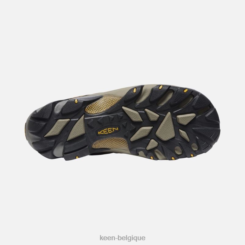 DLLD6497 Keen Targhee II étanche cascade brun-jaune doré Hommes