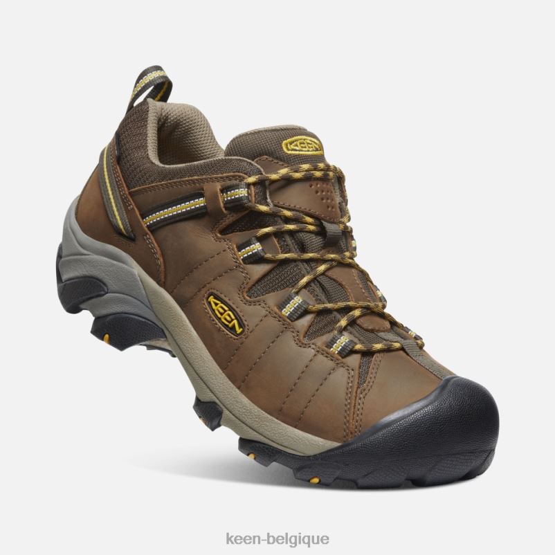 DLLD6497 Keen Targhee II étanche cascade brun-jaune doré Hommes