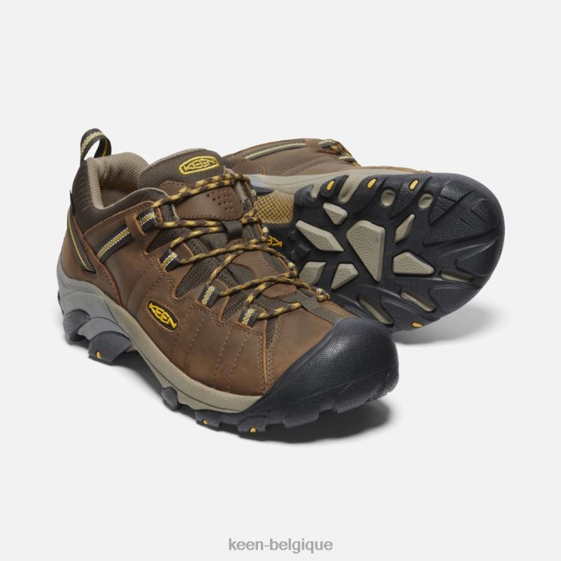 DLLD6497 Keen Targhee II étanche cascade brun-jaune doré Hommes