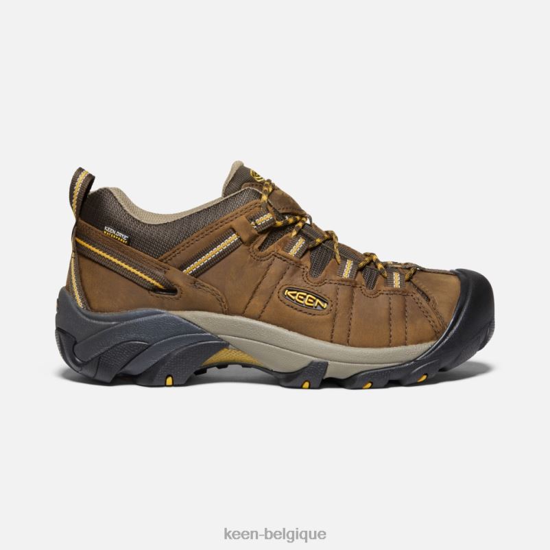 DLLD6498 Keen targhee ii imperméable large cascade brun-jaune doré Hommes