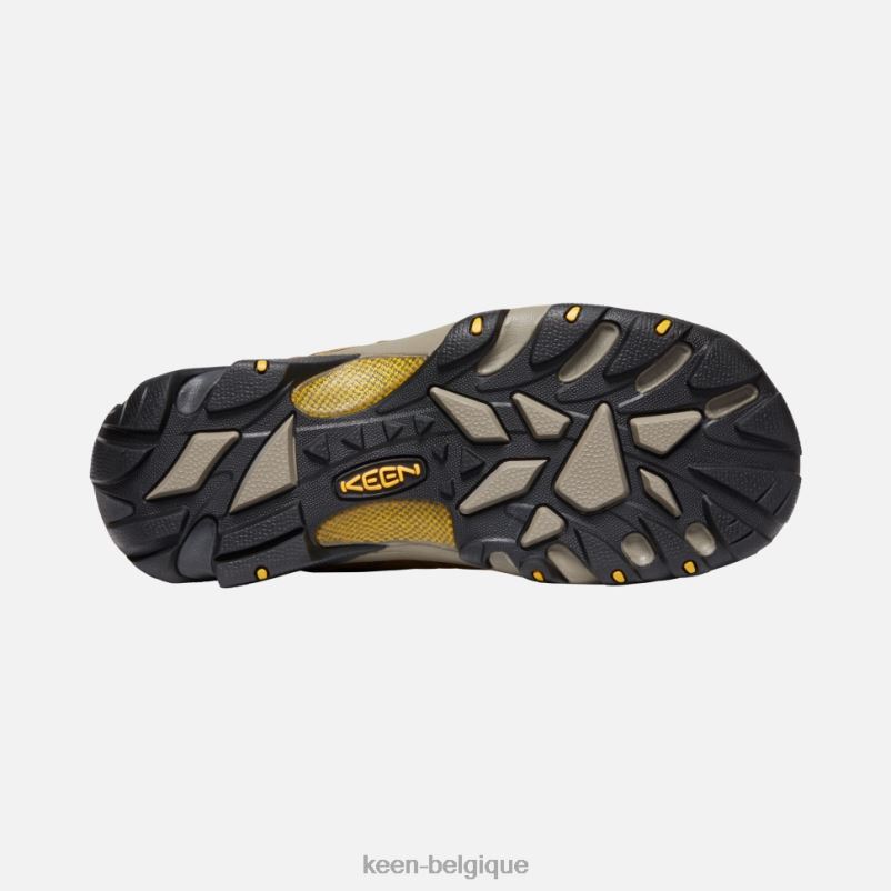 DLLD6498 Keen targhee ii imperméable large cascade brun-jaune doré Hommes