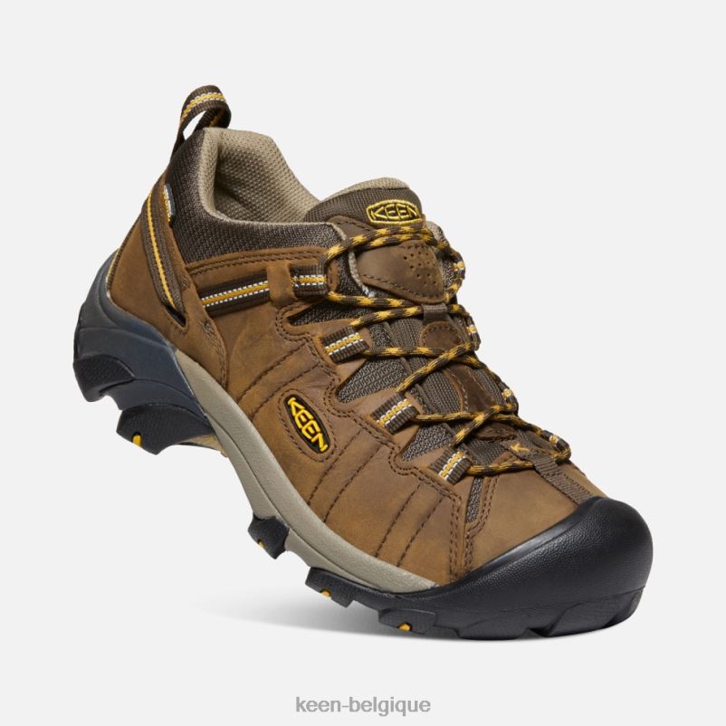 DLLD6498 Keen targhee ii imperméable large cascade brun-jaune doré Hommes