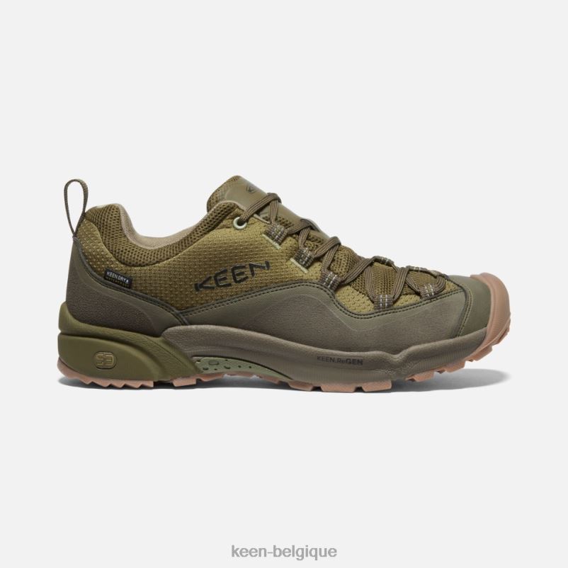 DLLD6508 Keen crête wasatch imperméable olive olive terne-foncée Hommes