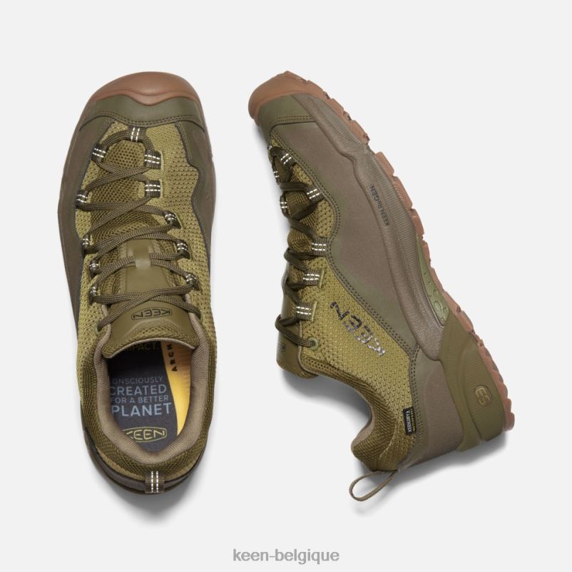 DLLD6508 Keen crête wasatch imperméable olive olive terne-foncée Hommes