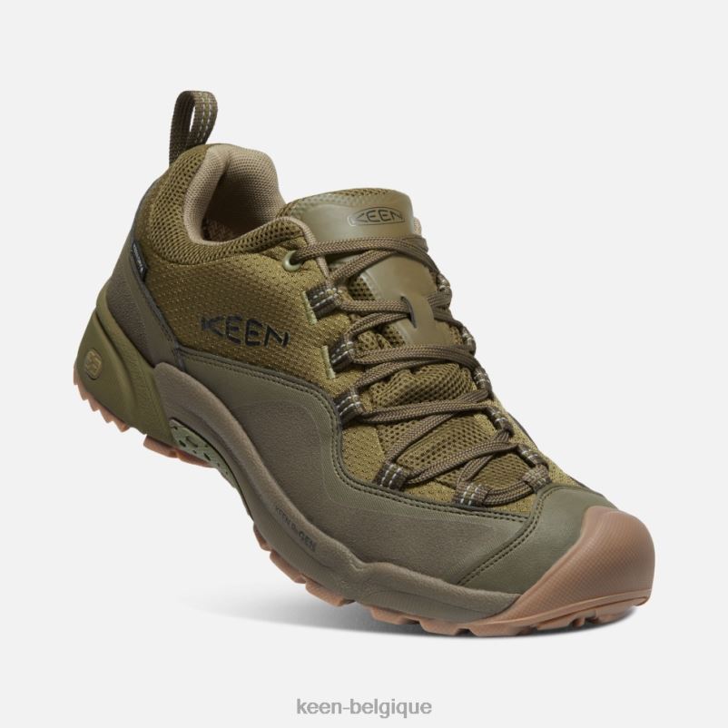 DLLD6508 Keen crête wasatch imperméable olive olive terne-foncée Hommes